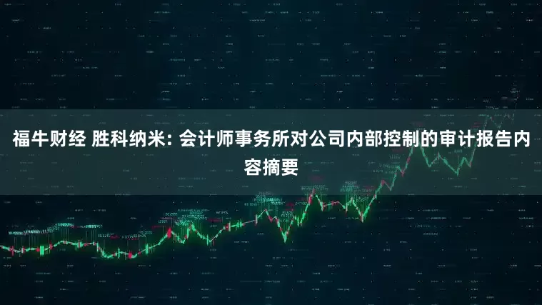 福牛财经 胜科纳米: 会计师事务所对公司内部控制的审计报告内容摘要