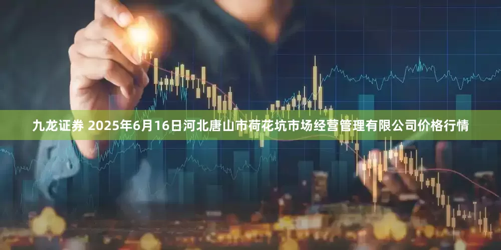 九龙证券 2025年6月16日河北唐山市荷花坑市场经营管理有限公司价格行情