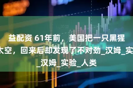 益配资 61年前，美国把一只黑猩猩送进太空，回来后却发现了不对劲_汉姆_实验_人类